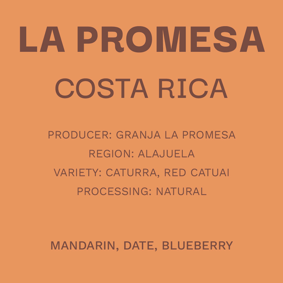 Costa Rica La promesa - Natural