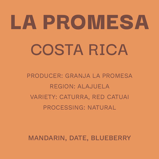 Costa Rica La promesa - Natural