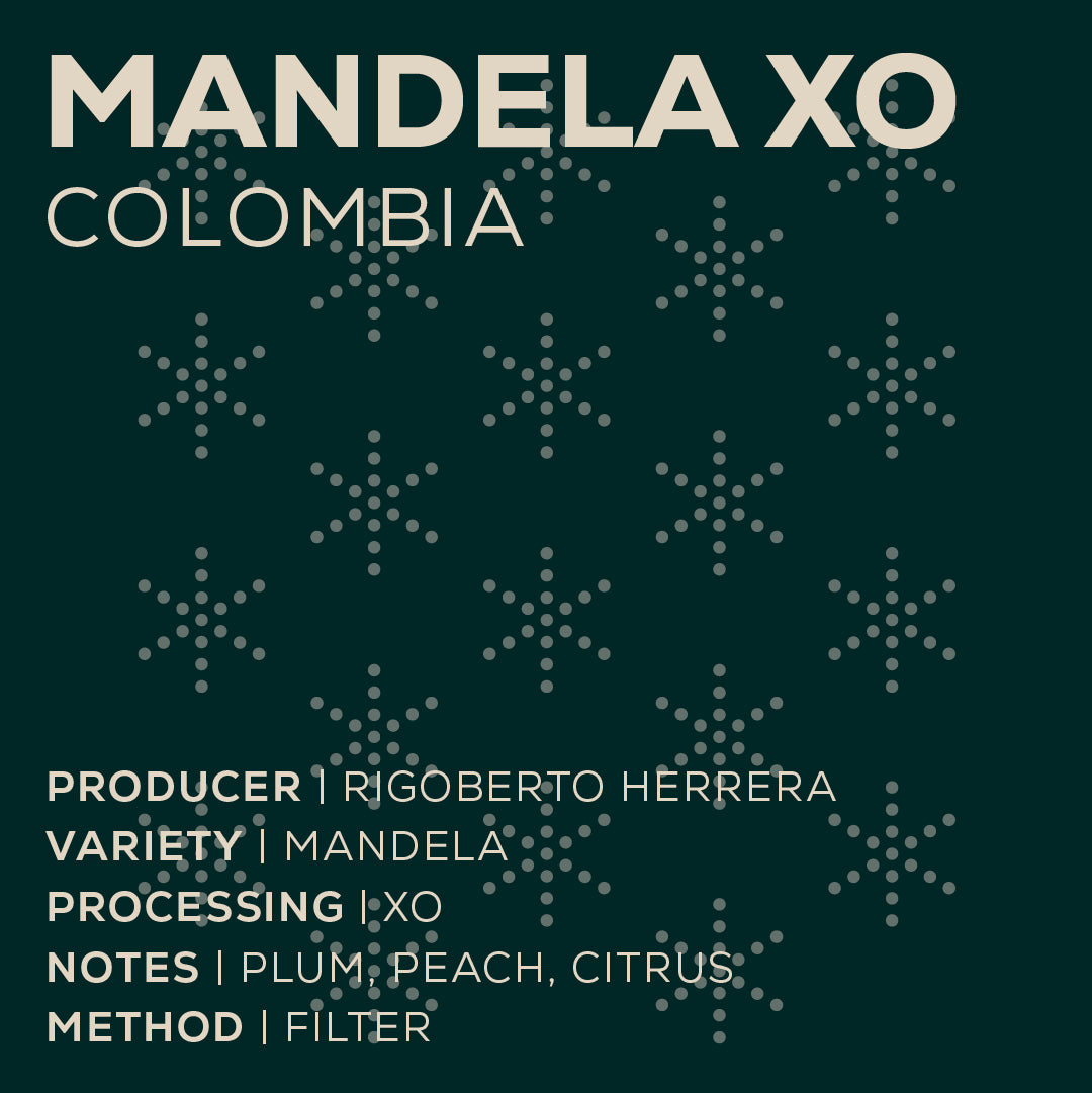 Colombia CGLE - Mandela XO-thumbmail-2