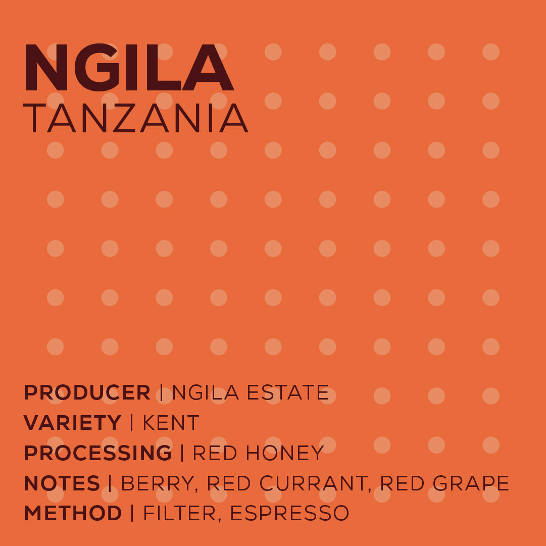 Tanzania Ngila - Red Honey-thumbmail-2