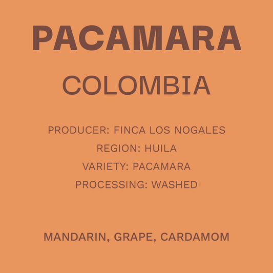 Colombia Pacamara - Lavado