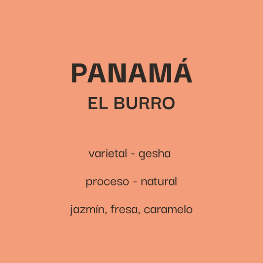 Panamá El Burro - Gesha Natural