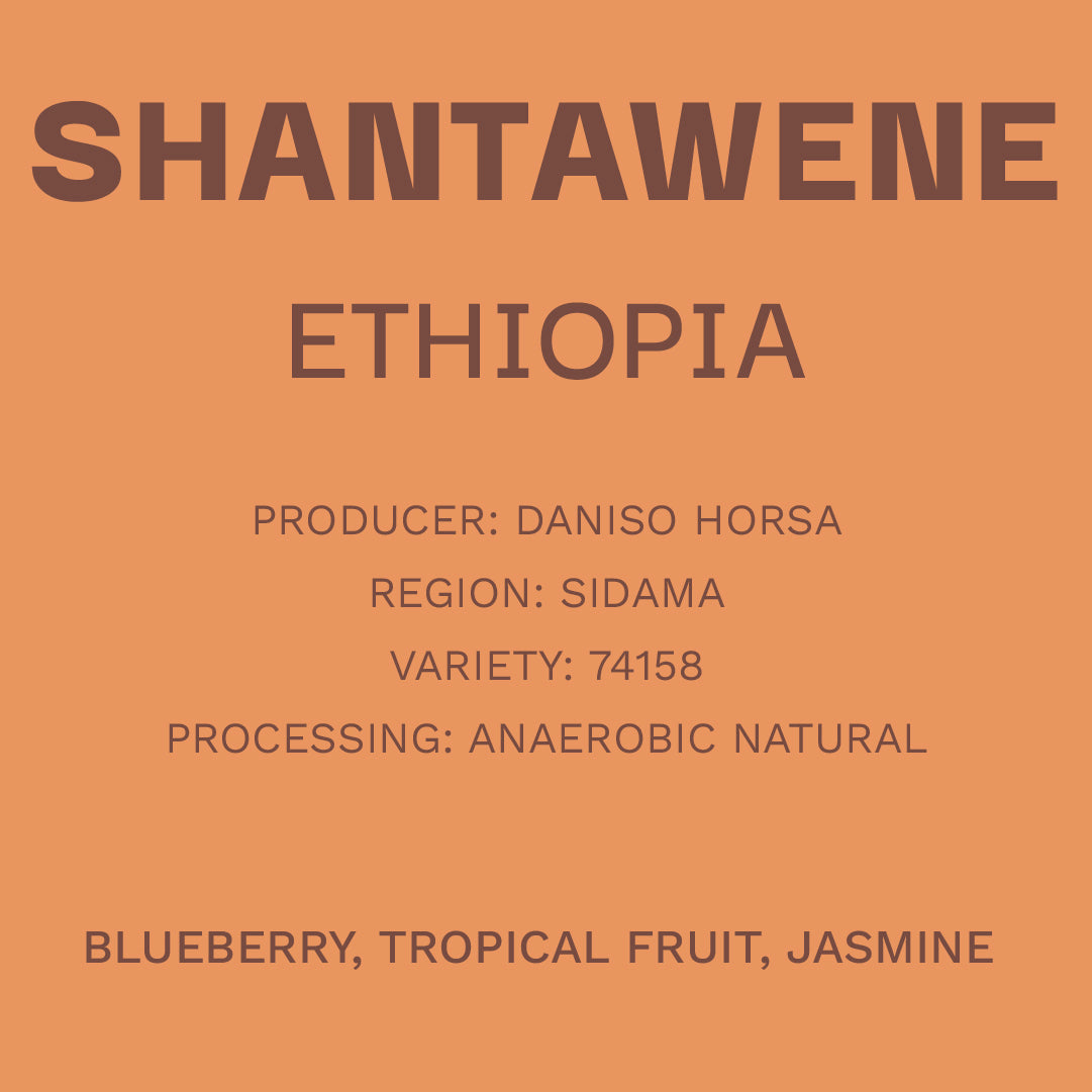 Ethiopia - Shantawene Natural Anaerobico