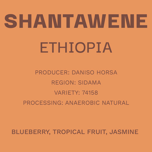 Ethiopia - Shantawene Natural Anaerobico