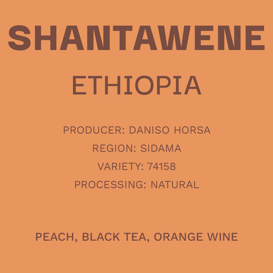 Ethiopia - Shantawene Natural