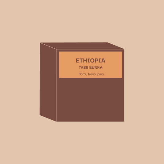 Ethiopia - Tabe Burka Natural
