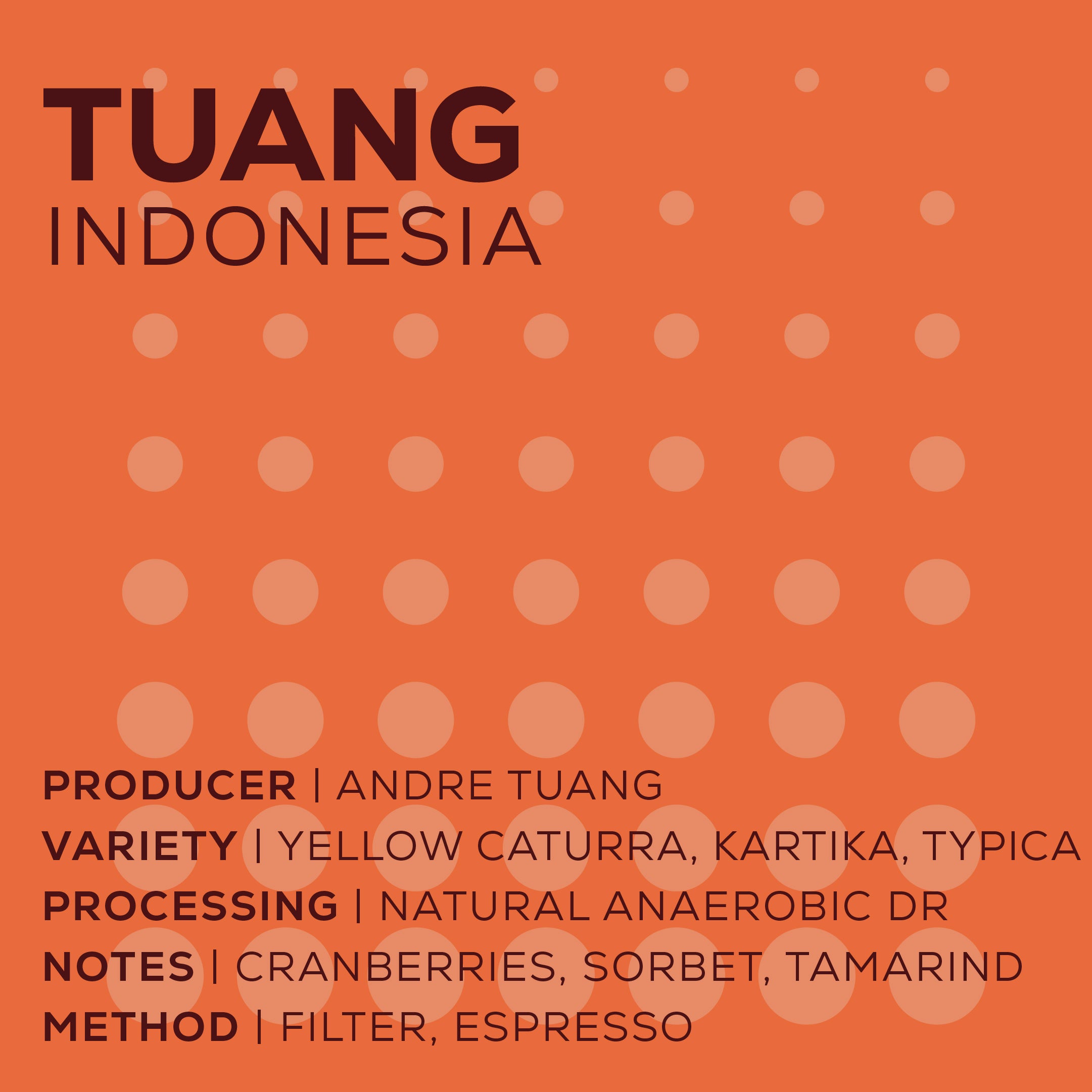 Indonesia Tuang - Natural Anaerobic Dark Room-thumbmail-2